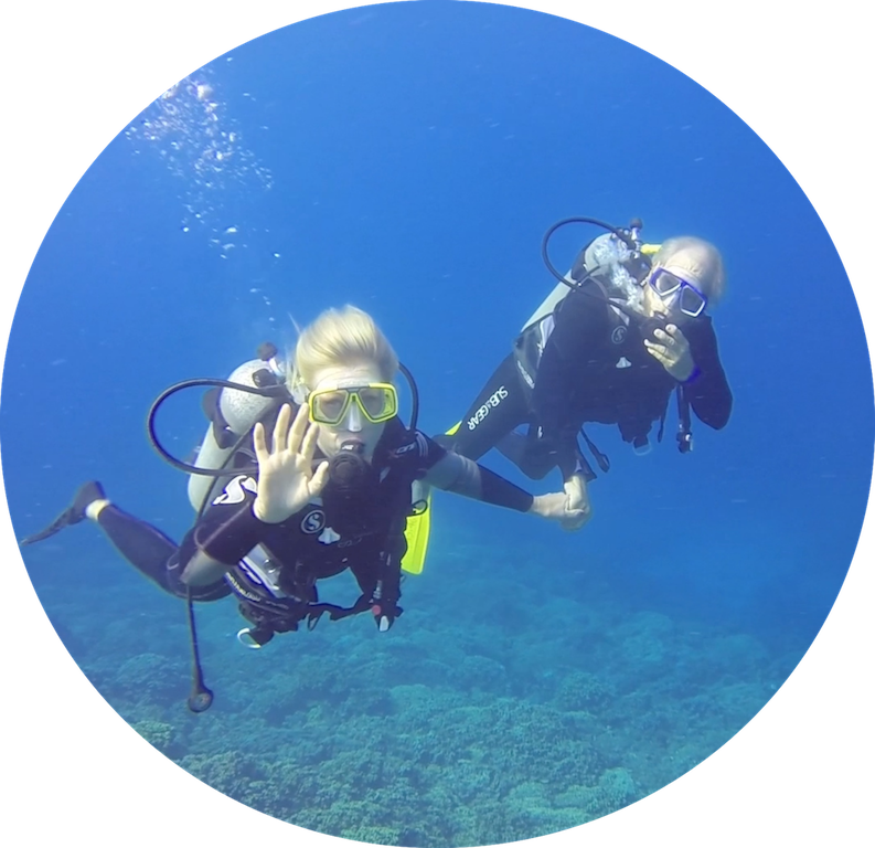 https://tahititourisme.com.br/wp-content/uploads/2017/08/Divers-in-the-first-try.png