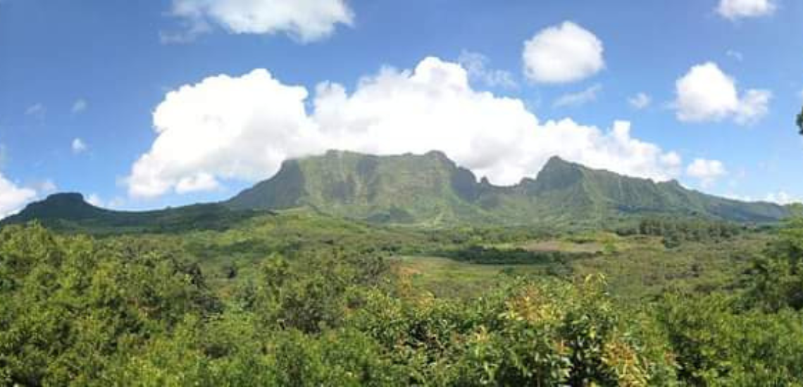 https://tahititourisme.com.br/wp-content/uploads/2023/02/SmileWithWilly_photocouverture_1140x550px.png