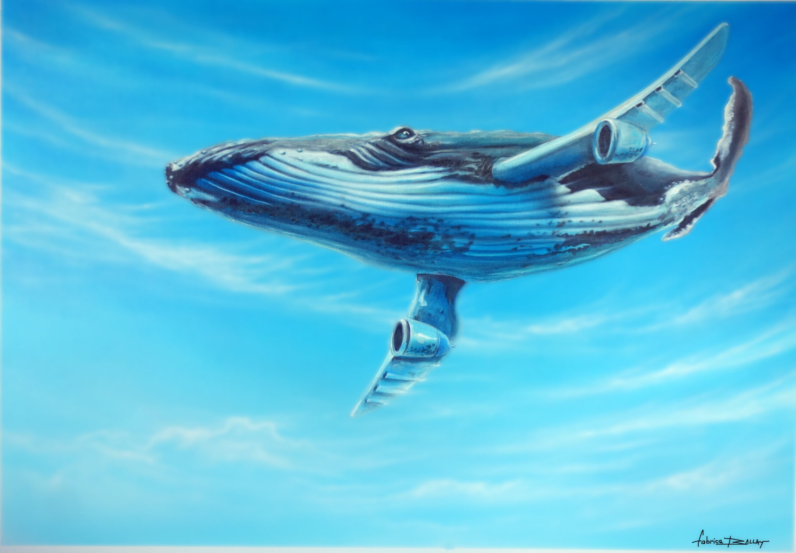 https://tahititourisme.com.br/wp-content/uploads/2024/02/baleine_volante-min-scaled.jpg